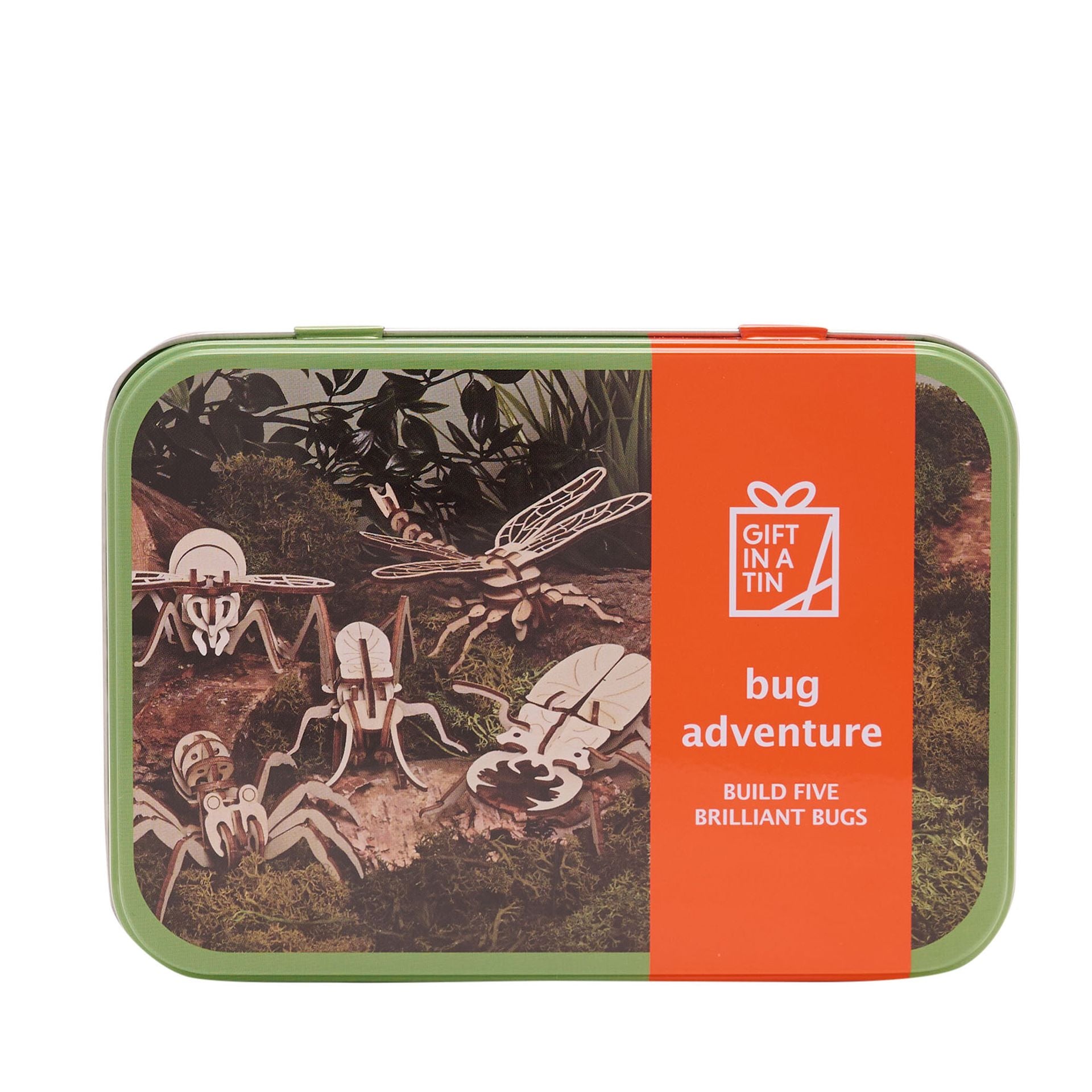 Bug Adventure Fun In A Tin