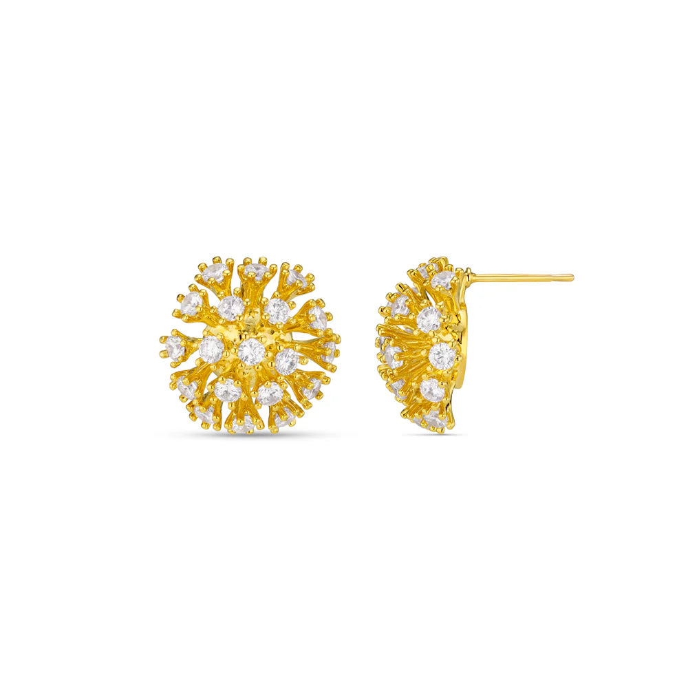 Statement Crystal Burst Stud Earring