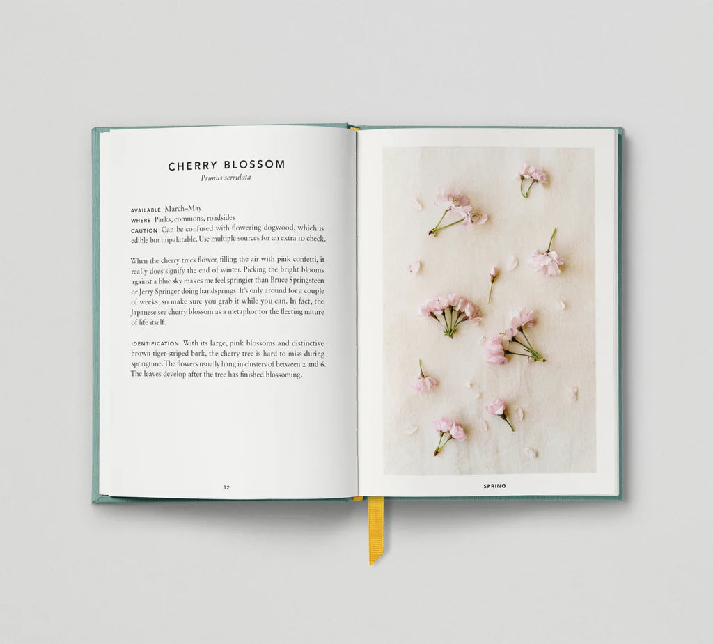 Urban Forager Book - Hoxton Mini Press