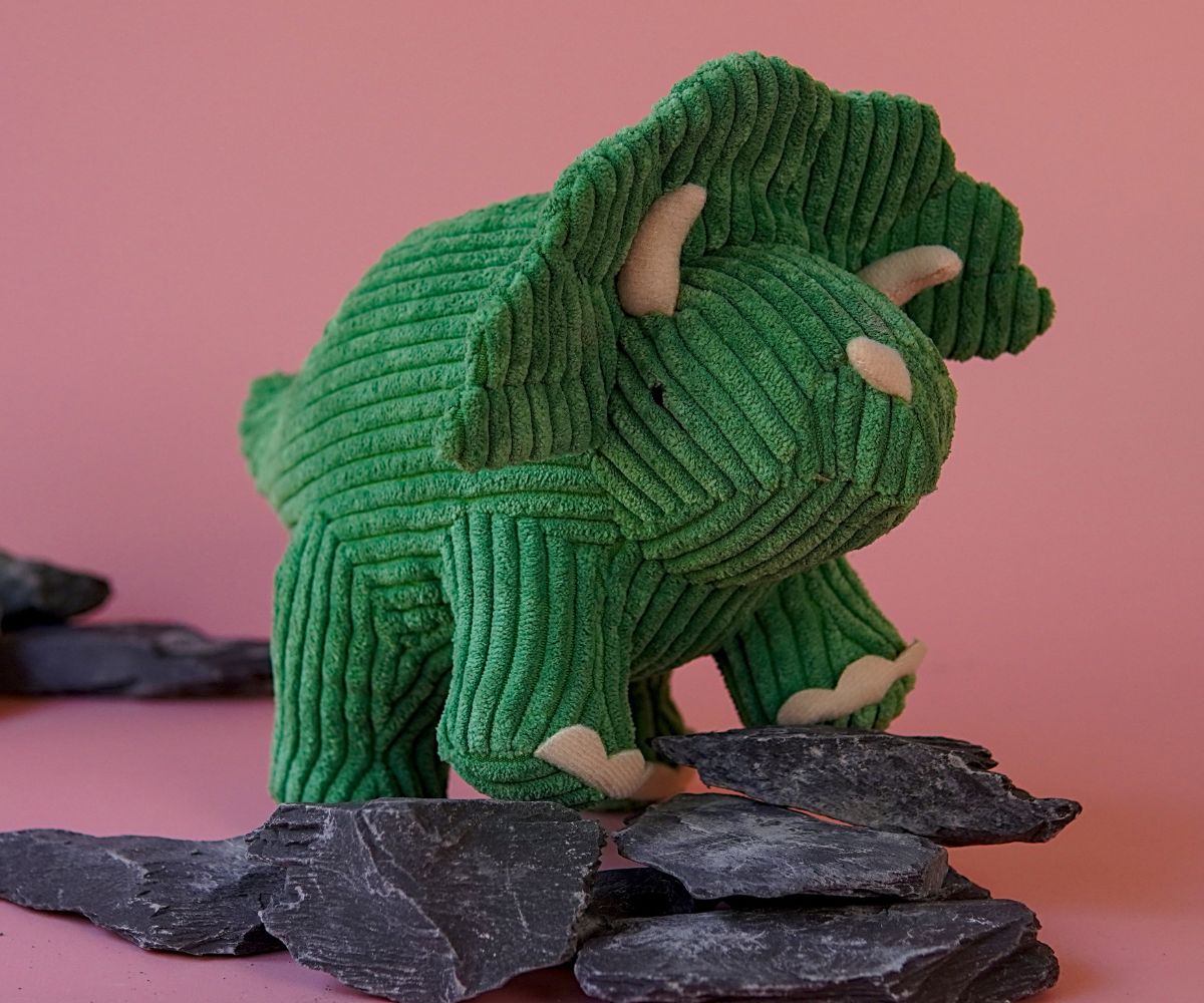 Best Years - Corduroy Triceratops Green - 2 Sizes