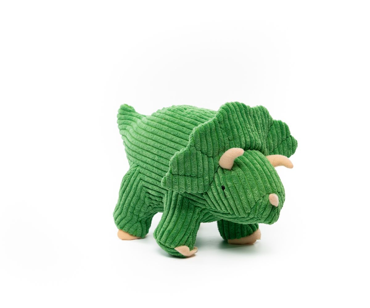 Best Years - Corduroy Triceratops Green - 2 Sizes