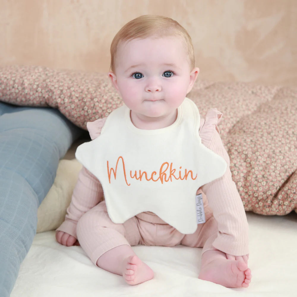 Munchkin Bib