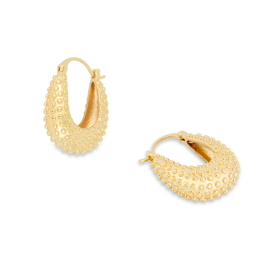 Ashiana - Nami Gold Earrings