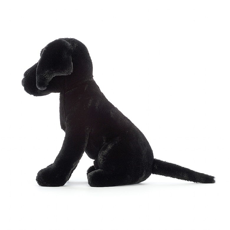 Pippa Black Labrador - M